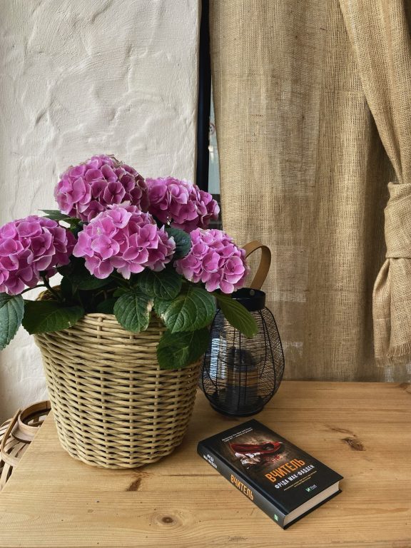 «Вчитель» Фріда Мак-Фадден